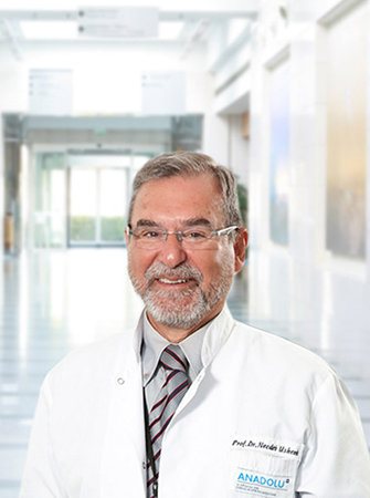 Prof. Dr. Necdet Üskent